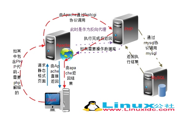 Linux 下编译安装 LAMP 并分离为多台服务器 Linux 下编译安装 LAMP 并分离为多台服务器