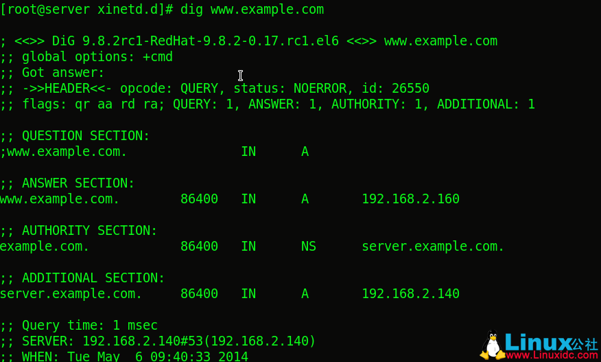 Linux 入门教程：DNS 服务器的配置 