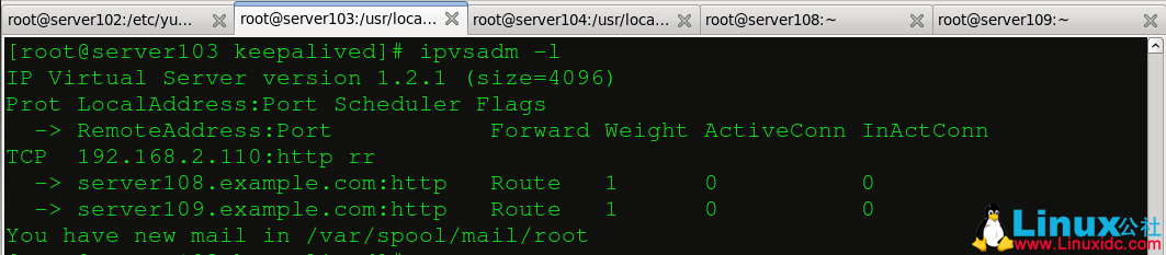 Keepalived 高可用集群搭建 Keepalived 高可用集群搭建
