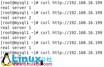 搭建 LVS 负载均衡测试环境 搭建 LVS 负载均衡测试环境