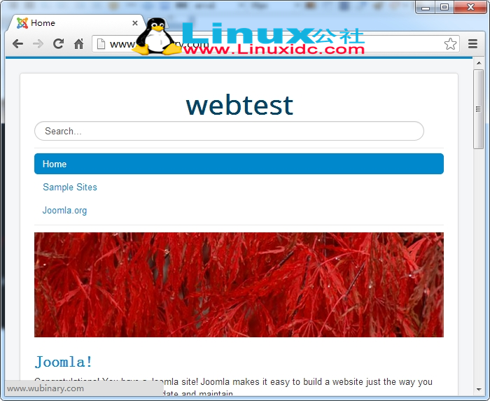 FastCGI 模式编译安装 LAMP+XCache