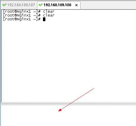 SecureCRT 同时发送命令到所有主机