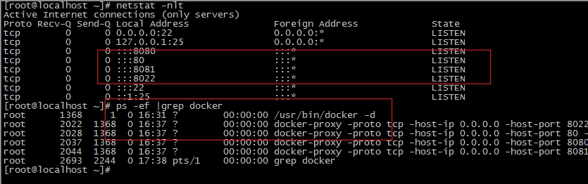 Docker 构建 Nginx+Tomcat 动静分离架构