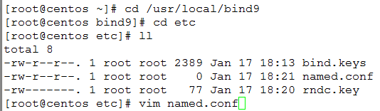 CentOS 中 DNS 服务器的搭建