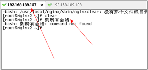 SecureCRT 同时发送命令到所有主机