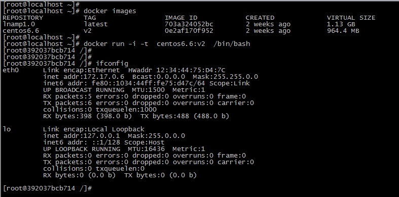 Docker 构建 Nginx+Tomcat 动静分离架构