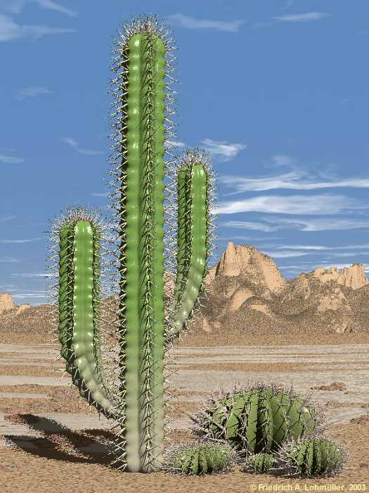 怎样在 Ubuntu 14.10 Server 上安装 Cacti 怎样在 Ubuntu 14.10 Server 上安装 Cacti