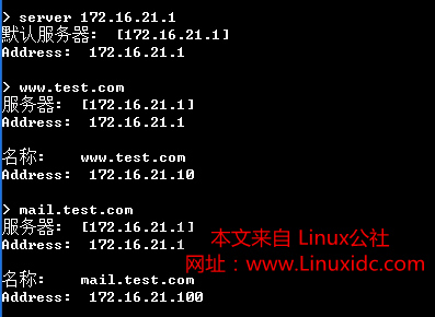 DNS 服务器的搭建与使用详解
