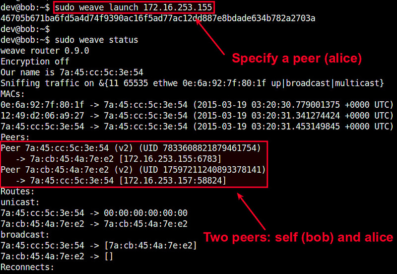 如何在 Docker 容器之间设置网络 如何在 Docker 容器之间设置网络