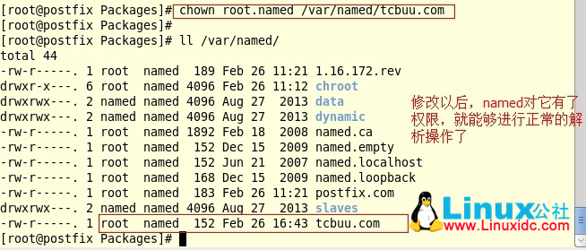 CentOS 6.5 DNS 文件都配置正确但无法解析的解决办法