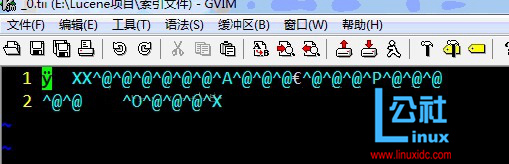 利用 Lucene 测试索引生成的.fnm 和 .fdx 和 .fdt 和 .tii 和 .tis 文件所包含的内容（详解）