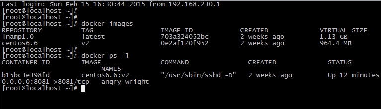 Docker 构建 Nginx+Tomcat 动静分离架构