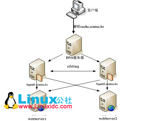 CentOS 6.4 下 DNS+Squid+Nginx+MySQL 搭建高可用 Web 服务器