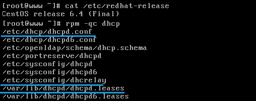 Linux 下 DHCP 服务器的搭建（RHEL5.2）