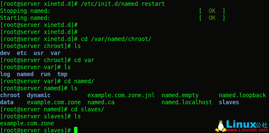 Linux 入门教程：DNS 服务器的配置
