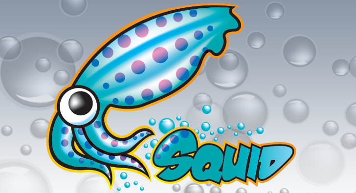 10 个关于 Linux 中 Squid 代理服务器的实用面试问答