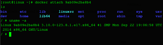 一些重要 Docker 命令的简单介绍 一些重要 Docker 命令的简单介绍