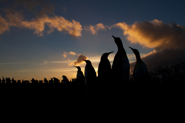 你为什么需要在云端构建 Linux 服务器? 你为什么需要在云端构建 Linux 服务器?