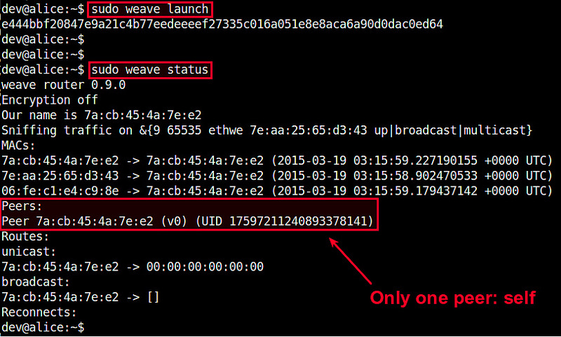 如何在 Docker 容器之间设置网络 如何在 Docker 容器之间设置网络