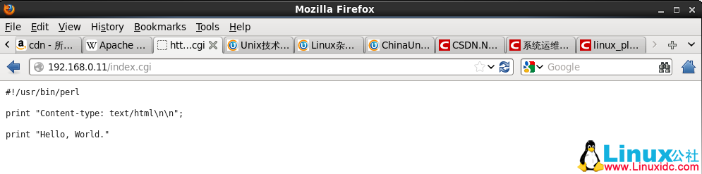 Linux 入门教程:Apache 服务配置 Linux 入门教程:Apache 服务配置