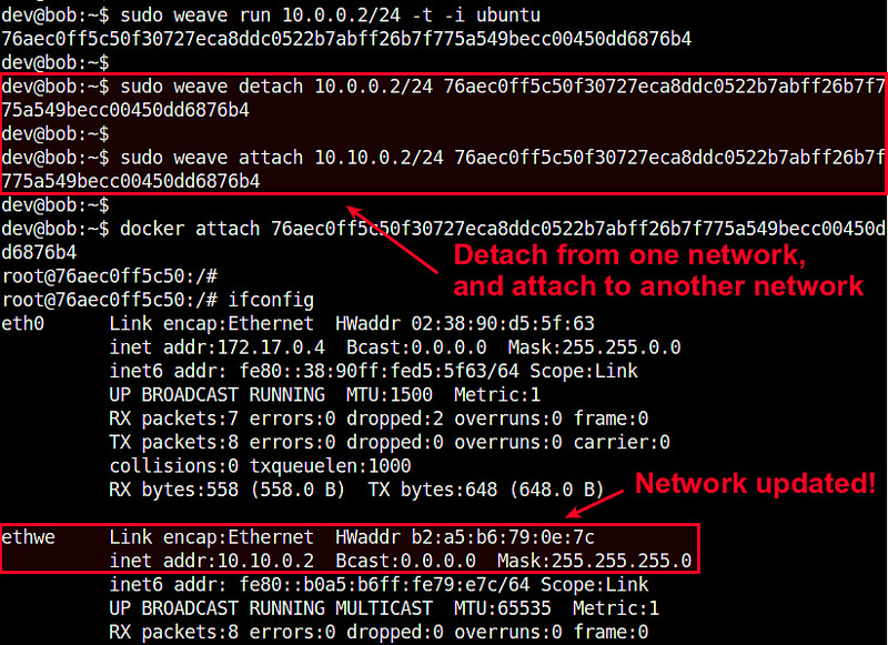 如何在 Docker 容器之间设置网络 如何在 Docker 容器之间设置网络