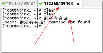 SecureCRT 同时发送命令到所有主机