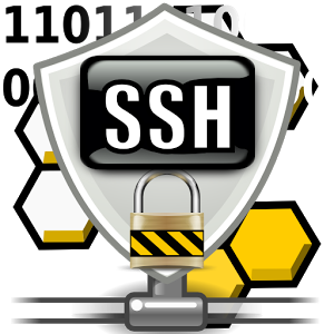 如何实现 SSH 无密码登录 如何实现 SSH 无密码登录