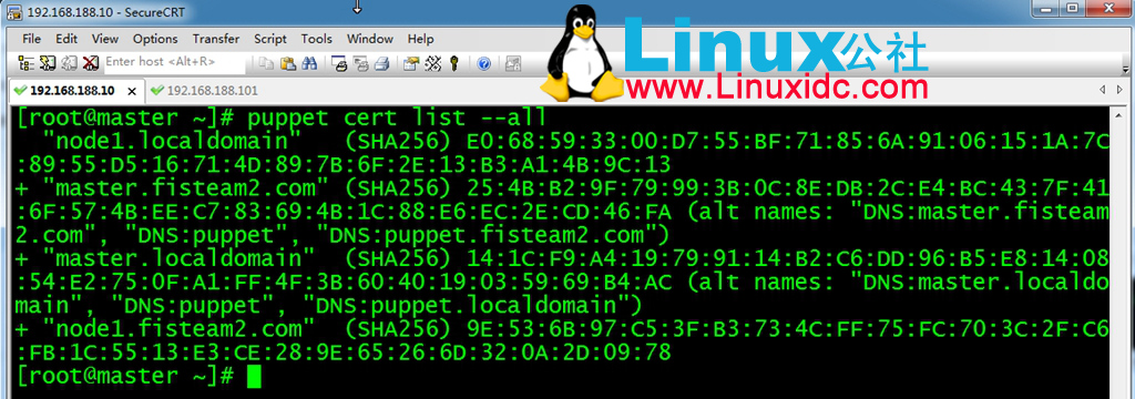 CentOS6.5+Puppet3.7.3 安装、配置及测试 CentOS6.5+Puppet3.7.3 安装、配置及测试