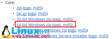 Tomcat 手工搭建 Jsp 和 Servlet 程序 Tomcat 手工搭建 Jsp 和 Servlet 程序