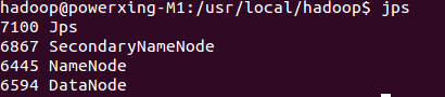 通过 jps 查看启动的 Hadoop 进程