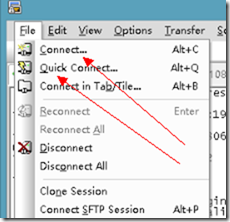 SecureCRT 同时发送命令到所有主机