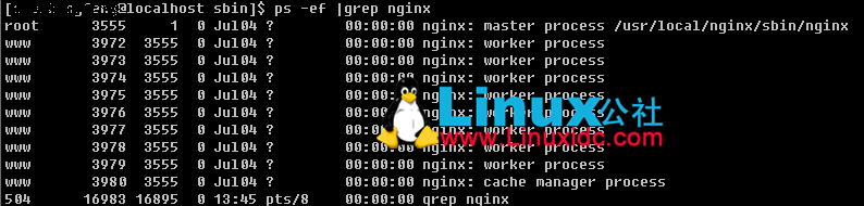 Linux 下查看 Nginx 安装目录、版本号信息? Linux 下查看 Nginx 安装目录、版本号信息?
