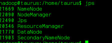 Hadoop 伪分布式集群环境搭建