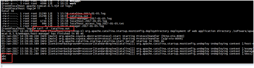 在 Linux 虚拟机下配置 Tomcat 在 Linux 虚拟机下配置 Tomcat