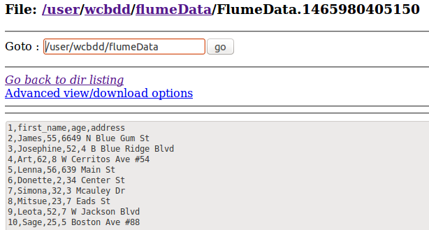 Flume 安装及简单部署 Flume 安装及简单部署