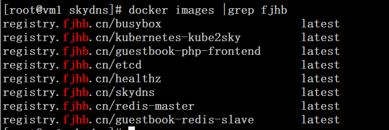 Kubernetes 集群配置 DNS 服务