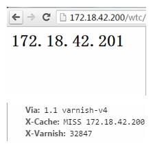 Linux 中 Varnish 基础应用