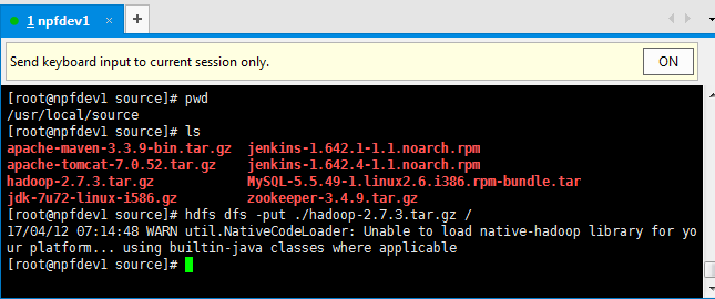 使用 HDFS dfs 命令对文件进行增删改查操作 使用 HDFS dfs 命令对文件进行增删改查操作