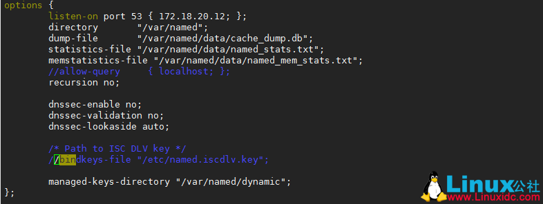 自己动手搭建 DNS 服务器 自己动手搭建 DNS 服务器