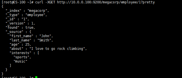 Elasticsearch 零基础到入门新手教程