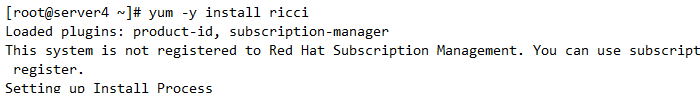 RHCS 集群安装部署图文详解 RHCS 集群安装部署图文详解