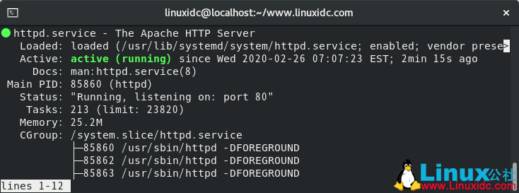 CentOS 8.1下搭建LAMP(Linux+Apache+MySQL+PHP)环境