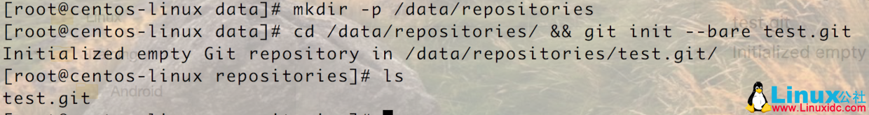  初始化 git 仓库 