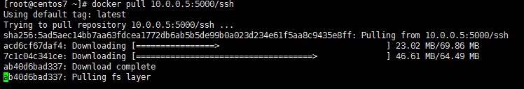 CentOS7.2 定制属于自己的 Docker 私有库 CentOS7.2 定制属于自己的 Docker 私有库