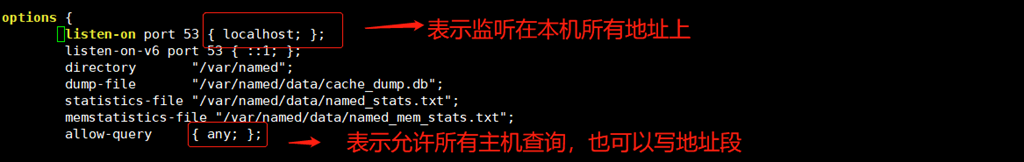 主 DNS 服务 - 正向解析 主 DNS 服务 - 正向解析
