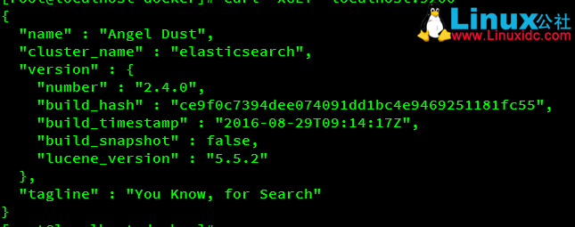 Elasticsearch 插件安装之 Linux 下安装及 head 插件