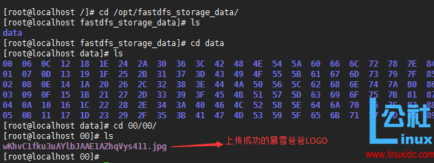 CentOS 7 安装配置分布式文件系统 FastDFS 5.0.5