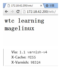 Linux 中 Varnish 基础应用
