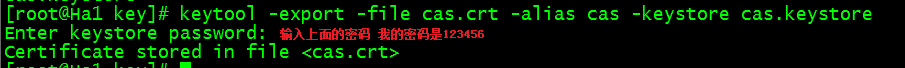 CAS 5.0.0 的安装及配置 CAS 5.0.0 的安装及配置