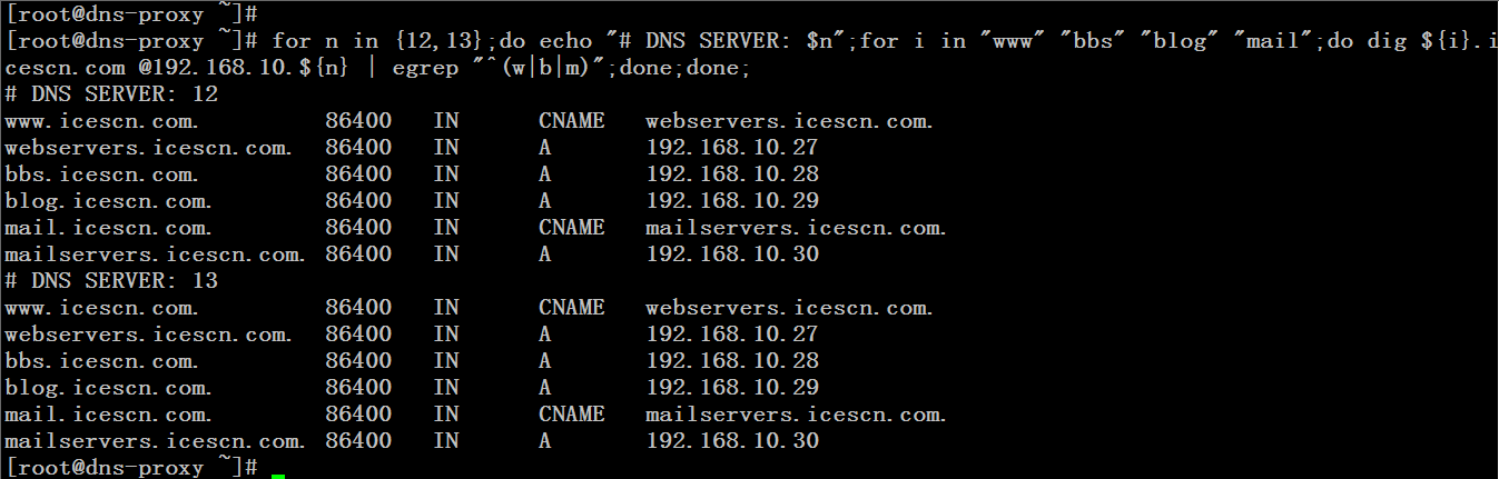 基于 BIND 软件实现互联网 DNS 解析 基于 BIND 软件实现互联网 DNS 解析